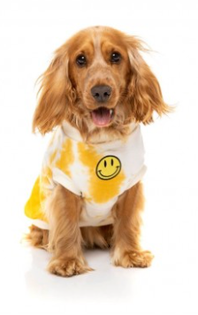 FUZZYARD SMILEY TIE-RUS SWEATER - YELLOW/CREAM