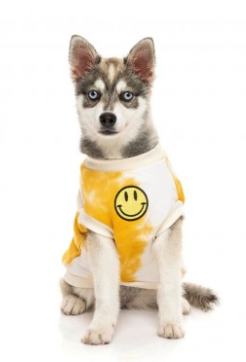 FUZZYARD SMILEY TIE-RUS SWEATER - YELLOW/CREAM
