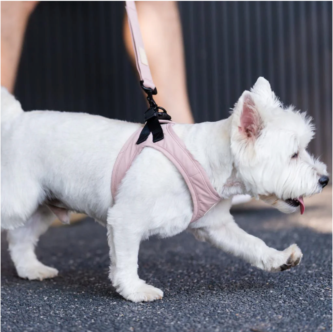 FuzzYard Life Cotton Step In Harness - Soft Blush