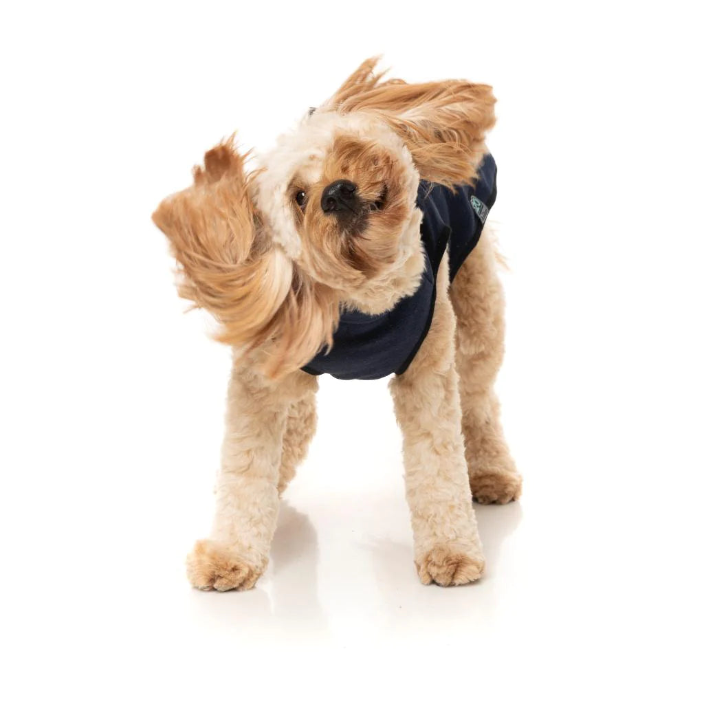 Chaqueta Fitzroy Navy