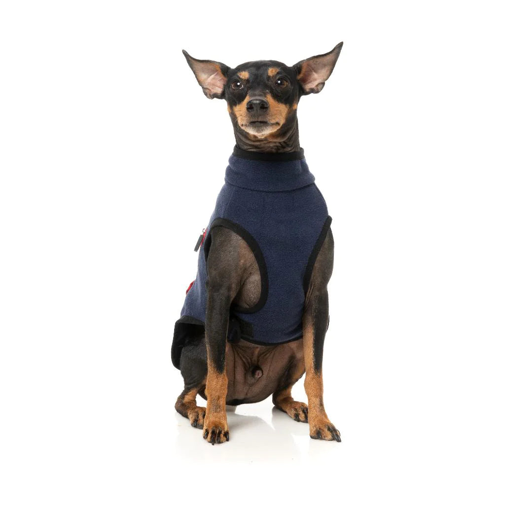 Chaqueta Fitzroy Navy