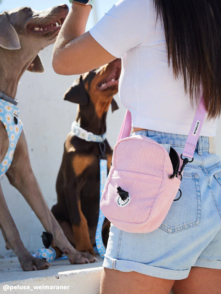 Bolso Para Paseo Color Rosa