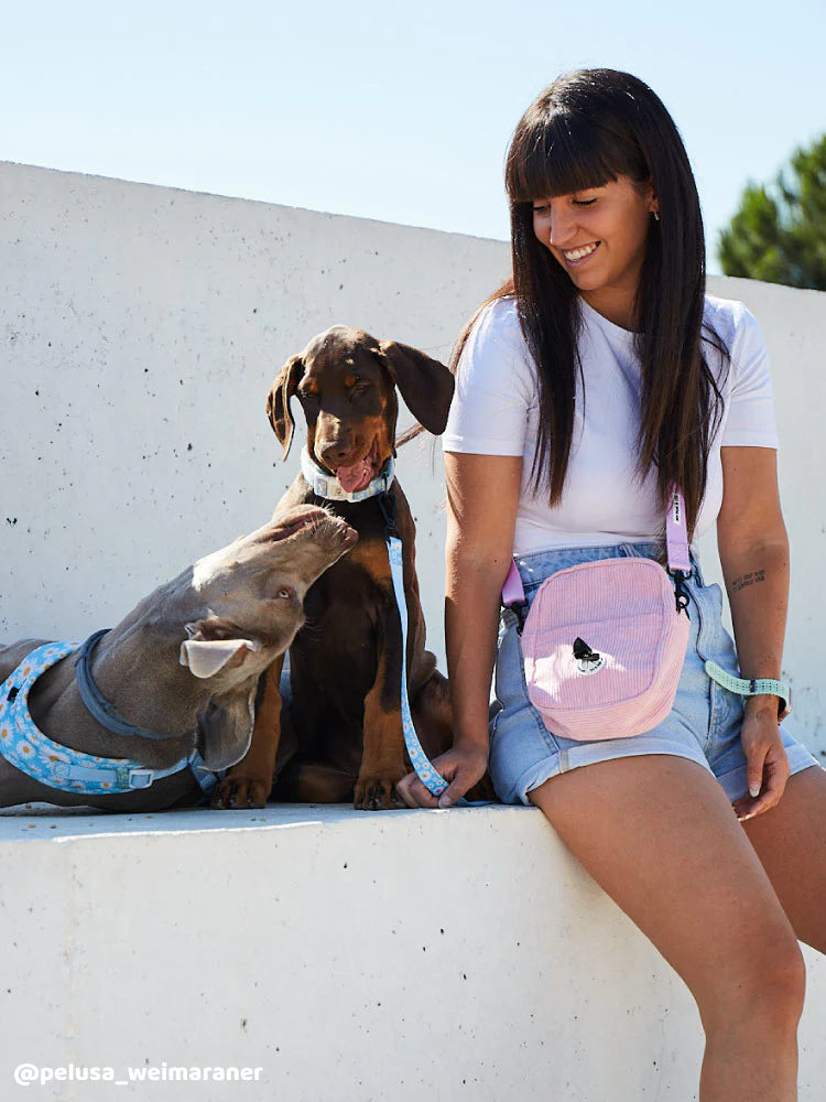 Bolso Para Paseo Color Rosa