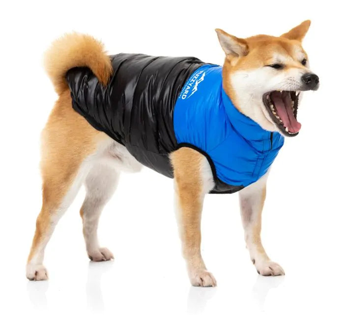 Anorak East Harlem - Azul