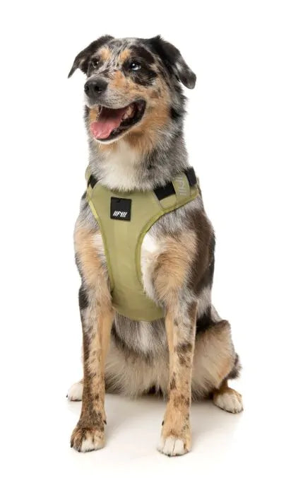 Arnés FY Active Go - khaki