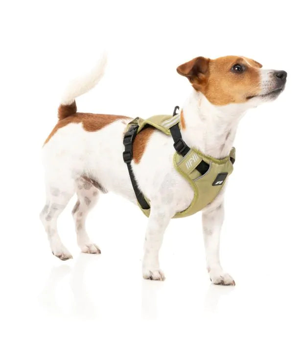Arnés FY Active Go - khaki