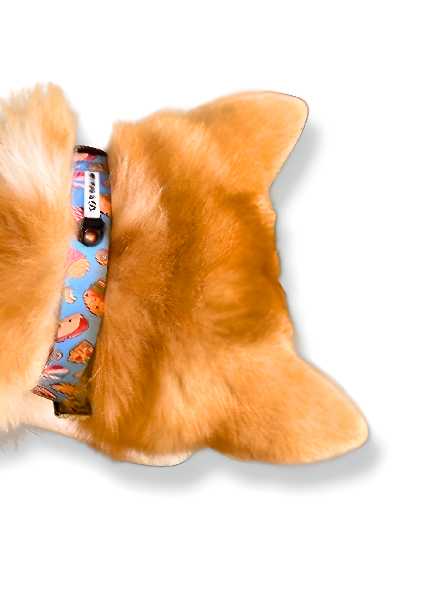 Collar ajustable Unicorn
